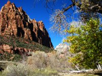 34-Zion National Park - Utah